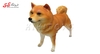 فیگور حیوانات ماکت سگ شیبا اینو اسباب بازی 971 Shiba Inu