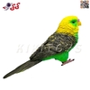 فیگور حیوانات مرغ عشق سبز اسباب بازی Budgerigar 1077