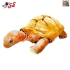 عروسک پولیشی لاک پشت بزرگ اورجینال Turtle Doll 15403