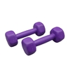 دمبل بدنسازی رادیس فیت وزن ۰.۵ کیلو گرم بسته دو عددی