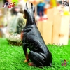 فیگور حیوانات ماکت سگ دوبرمن اسباب بازی 1477 Doberman fiqure