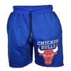 شلوارک ورزشی مردانه شیکاگو بولز مدل SPL-Power0011 آبی
