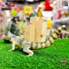 فیگور حیوانات ماکت تمساح اسباب بازی Crocodile figure 923