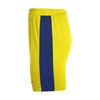 ست رکابی و شلوارک ورزشی مردانه گلدن استیت مدل PY-Warriors 30 زرد