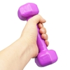 دمبل بدنسازی رکورد مدل Strong روکش دار وزن ۱ کیلو گرم بسته دو عددی