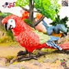 فیگور حیوانات ماکت طوطی ماکائو قرمز بال سبز 2595 Fiqure Parrot Macaw