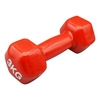 دمبل بدنسازی رکورد مدل Strong روکش دار وزن ۳ کیلو گرم بسته دو عددی