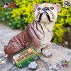 فیگور حیوانات ماکت سگ بولداگ اسباب بازی نرم و گوشتی بزرگ Bulldog dog figure﻿﻿ 770