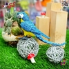 فیگور حیوانات ماکت طوطی ماکائو آبی طلایی 2594 Fiqure Parrot Macaw