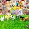 حیوانات اهلی و مزرعه اسباب بازی ست فیگور حیوانات 12 عددی FARM CUTE ANIMALS 1881