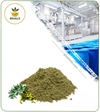عصاره افسنطین خشک یا پودری