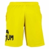 شلوارک ورزشی مردانه ونوم مدل PY-Simp 0104 زرد