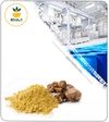 عصاره صمغ آنغوزه خشک یا پودری