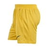 شلوارک ورزشی مردانه نایک مدل Py-2TIK زرد