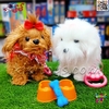 سگ رباتی پشمالو موزیکال قلاده‌دار بزرگ رنگ سفید مدل FURRY PETS 55F8 – نرم، سنسوردار و مناسب هدیه کودک