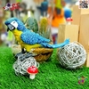 فیگور حیوانات ماکت طوطی ماکائو آبی طلایی 2594 Fiqure Parrot Macaw