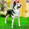 فیگور حیوانات ماکت سگ هاسکی اسباب بازی 1051 Husky fiqure