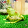 فیگور حیوانات ماکت قورباغه اسباب بازی Frog﻿﻿ fiqure 1107