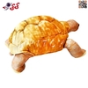 عروسک پولیشی لاک پشت بزرگ اورجینال Turtle Doll 15403