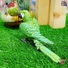 فیگور حیوانات ماکت طوطی ماکائو سبز طلایی 2596 Fiqure Parrot Macaw