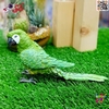 فیگور حیوانات ماکت طوطی ماکائو سبز طلایی 2596 Fiqure Parrot Macaw