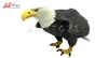 فیگور حیوانات ماکت عقاب بزرگ Figurine Eagle 909
