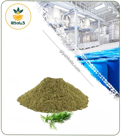 عصاره گیاه شوید خشک (پودری)