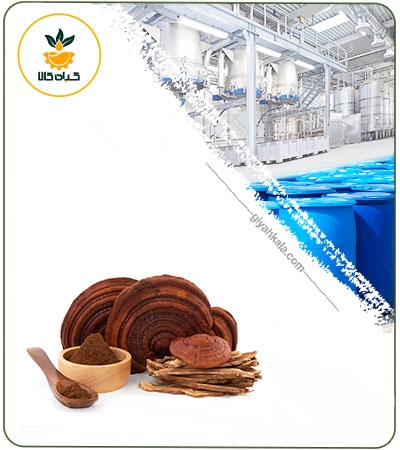 عصاره گانودرما خشک (پودری)