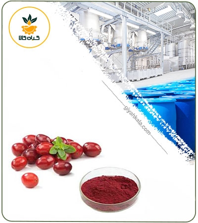 عصاره زغال اخته خشک (پودری)