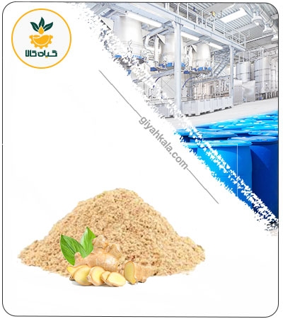 عصاره زنجبیل خشک یا پودری