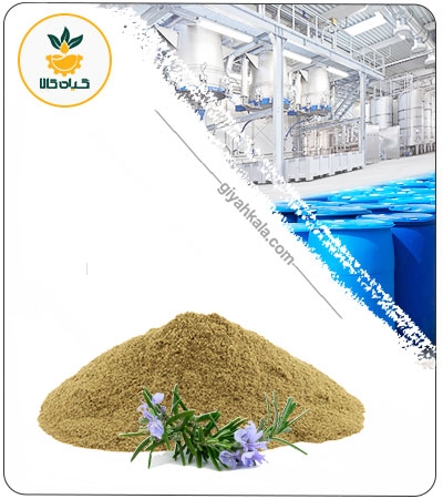 عصاره رزماری خشک یا پودری