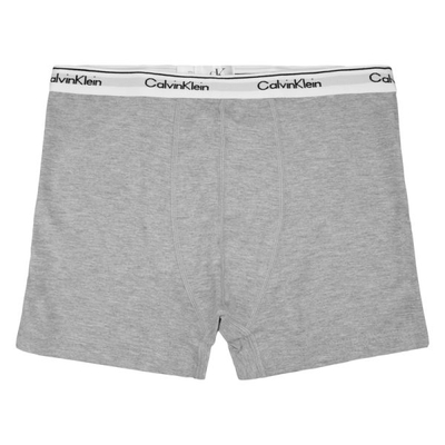 شورت پادار مردانه کلوین کلاین مدل SRN-4D0618 طوسی روشن