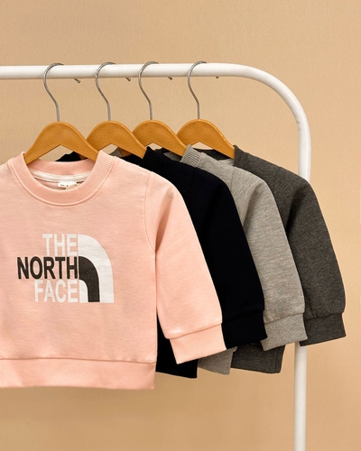 تک بلوز NORTH FACE