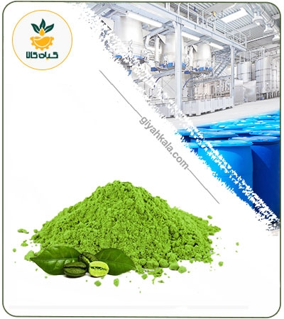 عصاره قهوه سبز خشک یا پودری