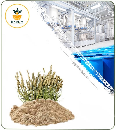 عصاره اسفرزه خشک یا پودری