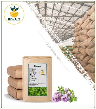 گیاه آویشن کوهی خشک فله