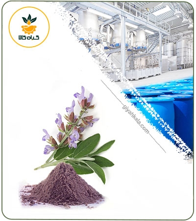 عصاره مریم گلی خشک (پودری)