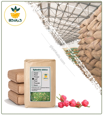 گیاه  ریش بز (هوم) خشک فله