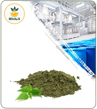 عصاره گزنه خشک (پودری)