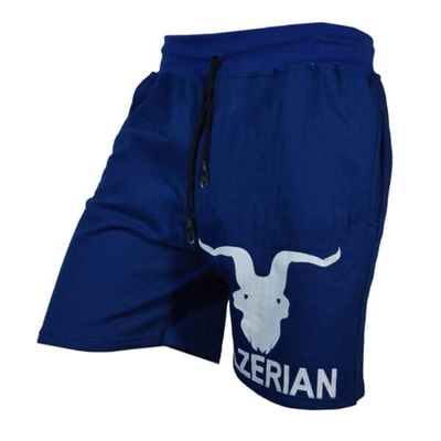 شلوارک ورزشی مردانه دن بیلزریان مدل SPL-Power0011 آبی تیره