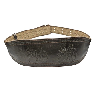 کمربند بدنسازی پاسارگاد مدل Hom-402M1340 بالشت دار سگکی قهوه ای تیره