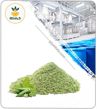 عصاره بامیه خشک یا پودری