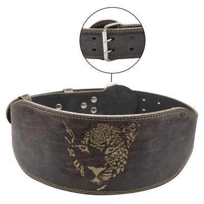 کمربند بدنسازی لیپارد عرض سگک ۶cm مدل ELM-404C0411 سگکی قهوه ای