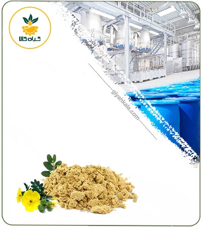 عصاره خارخاسک خشک (پودری)