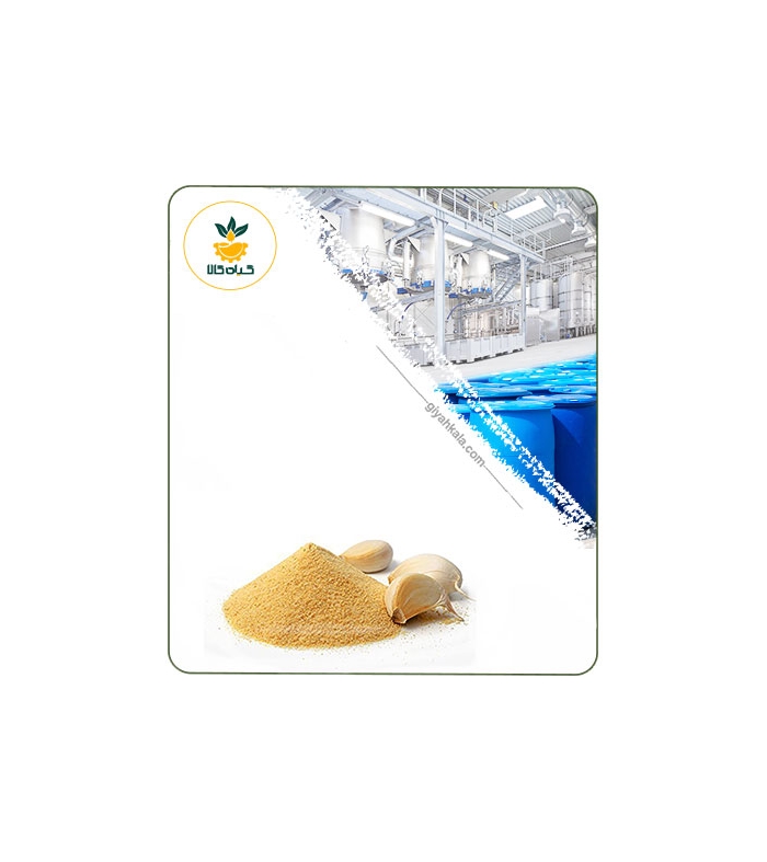 عصاره سیر خشک یا پودری
