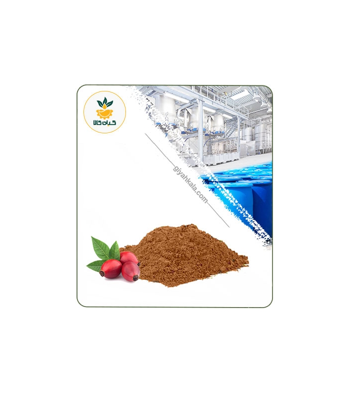 عصاره میوه نسترن خشک (پودری)