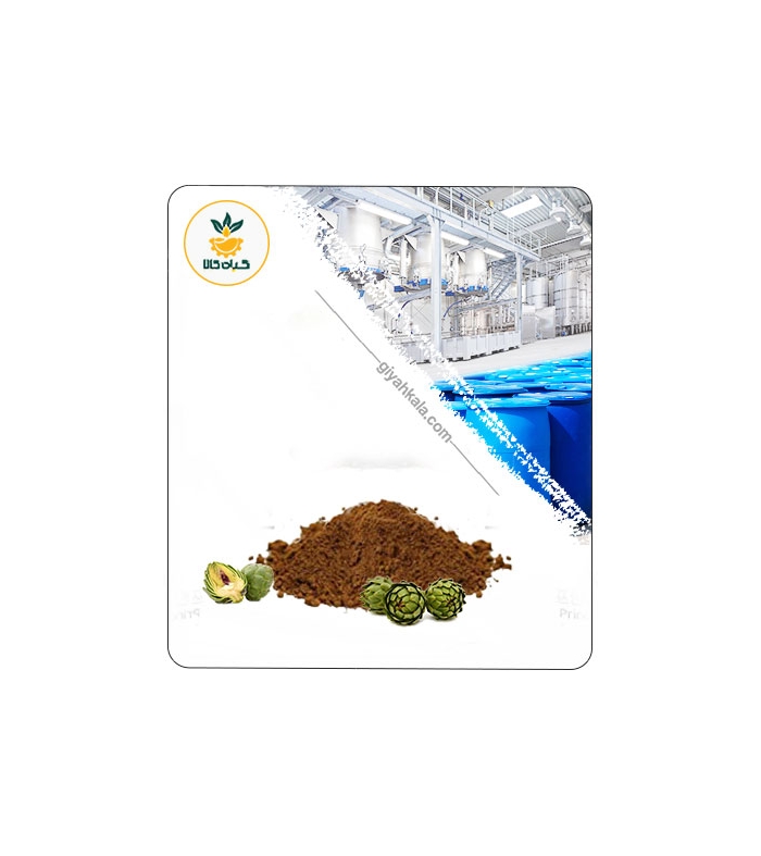 عصاره کنگر فرنگی (آرتیشو) خشک (پودری)