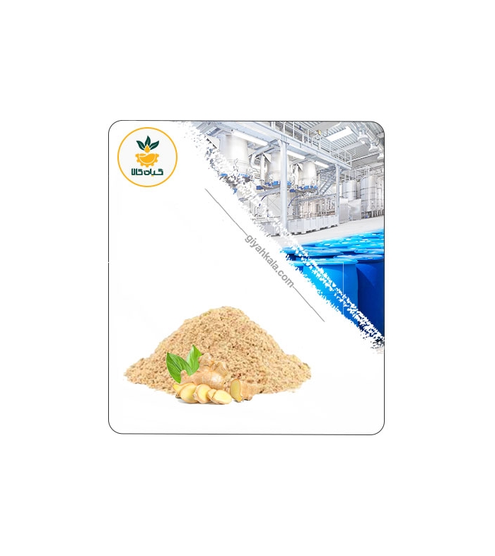 عصاره زنجبیل خشک یا پودری