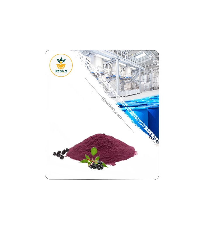 عصاره آقطی سیاه (الدربری) خشک یا پودری