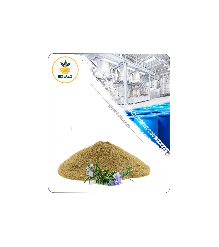 عصاره رزماری خشک یا پودری
